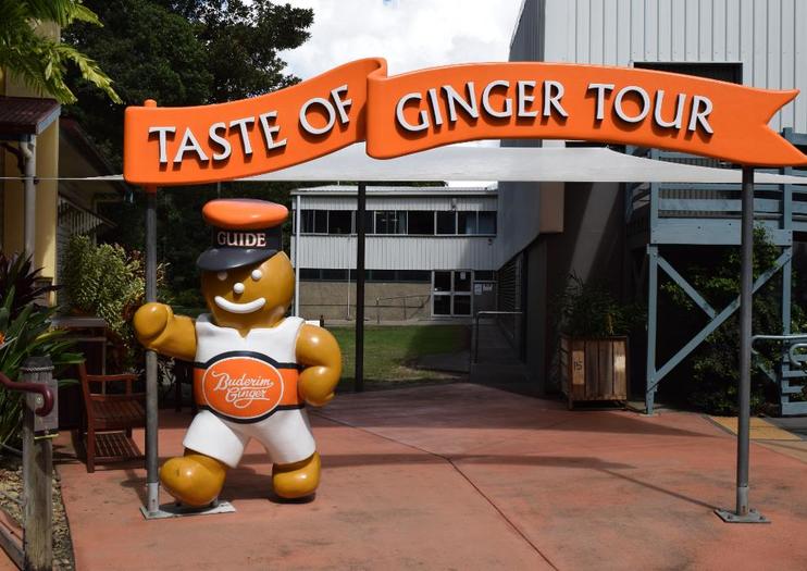 The Ginger Factory